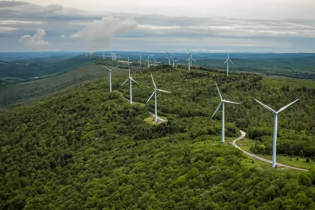 Wind farm in WV - similar to Capon Springs Wind Project